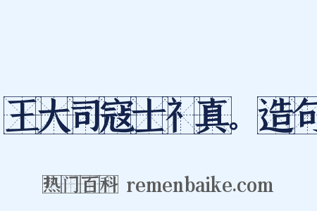 王大司寇士礻真。造句是什么意思的图片